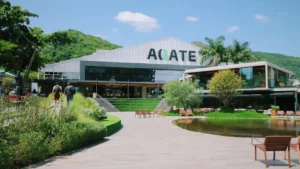 Florianópolis se destaca e vira 4ª cidade do Brasil em empregos na tecnologia com 45,6 mil vagas