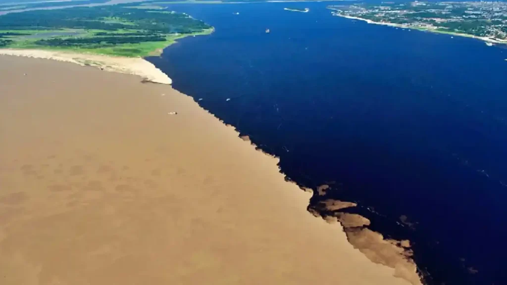 Como o Encontro das Águas em Manaus Revela a Ciência por Trás do Turismo Sustentável