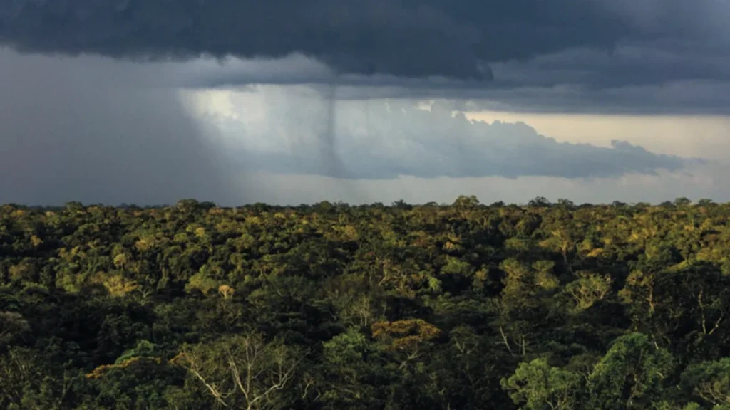 Mudanças Climáticas Agravam Sensibilidade do Regime de Chuvas na Amazônia ao Desmatamento