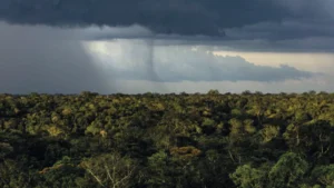 Mudanças Climáticas Agravam Sensibilidade do Regime de Chuvas na Amazônia ao Desmatamento