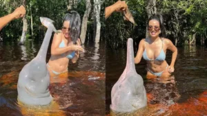 Ex-BBB Jordana encanta ao nadar com botos em Manaus: experiência única na Amazônia