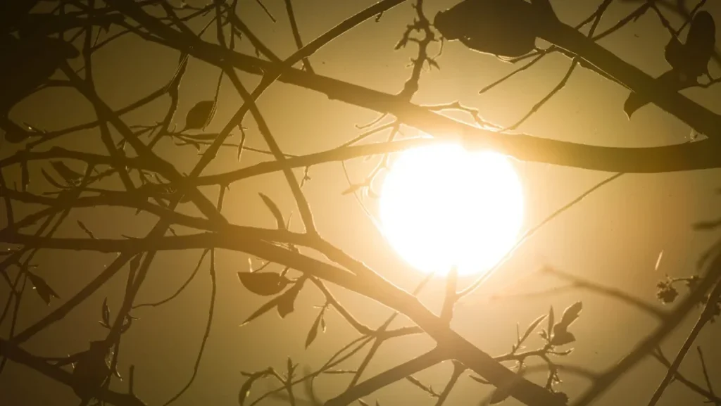 Alerta de Tempestades e Baixa Umidade Marcam Início de Agosto no Brasil