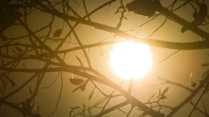 Alerta de Tempestades e Baixa Umidade Marcam Início de Agosto no Brasil